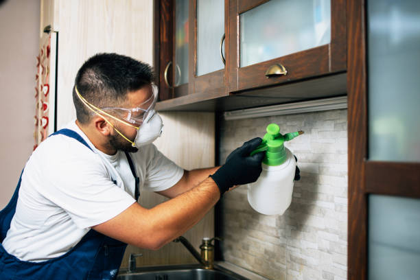 Best Pest Control Near Me  in Goodland, IN