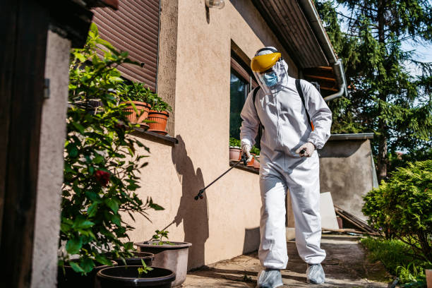 Best Flea Control Services  in Goodland, IN