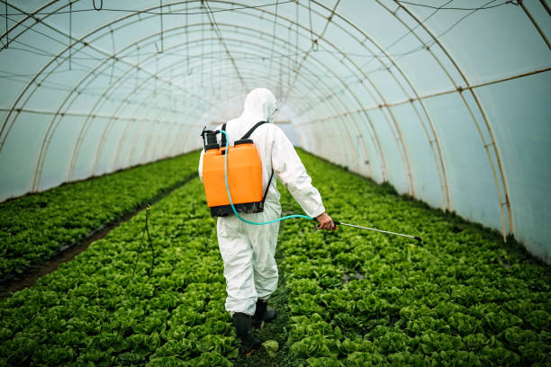 Best Pest Prevention Services  in Goodland, IN