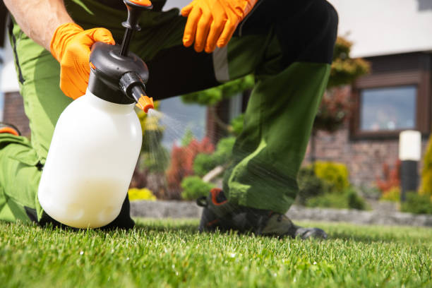 Pest Control for Restaurants in Goodland, IN