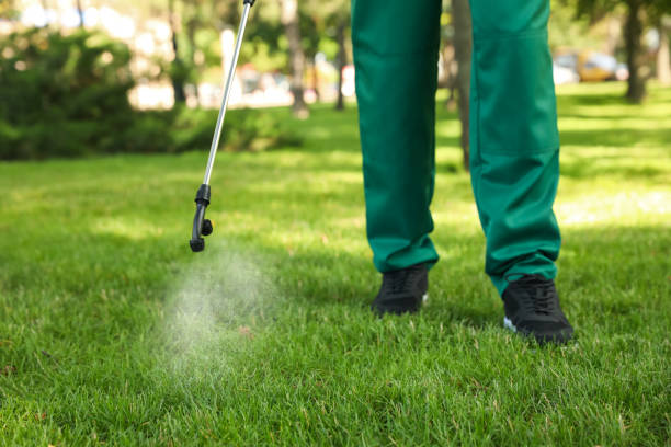 Reliable Goodland, IN Pest Control Solutions