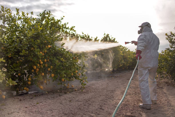 Best Pest Inspection Near Me  in Goodland, IN