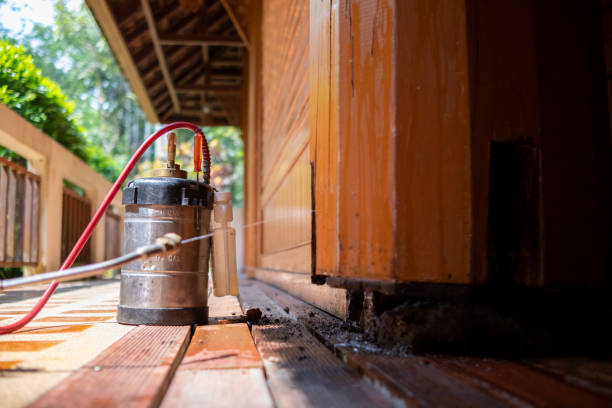 Best Termite Control Services  in Goodland, IN