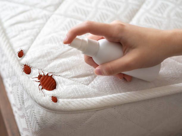 Best Pest Inspection Near Me  in Goodland, IN